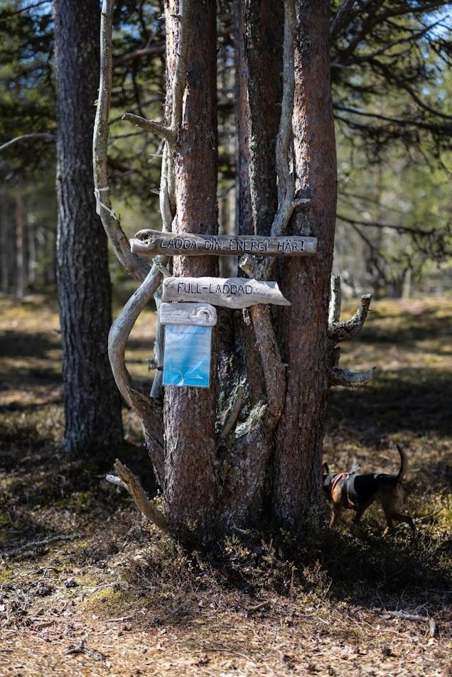 Nordic Lapland Frevisören Camping